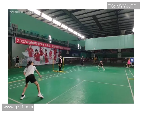 成都羽毛球队区域防守创新之路探秘与战术解析 成都羽毛球队区域防守创新之路探秘与战术解析