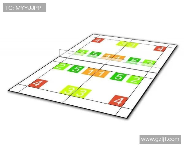 杭州羽毛球队总决赛战术分析与表现评估探讨