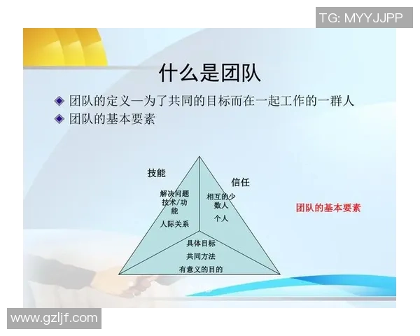 武汉羽毛球队配合表现数据分析揭示团队协作与比赛胜率的关系