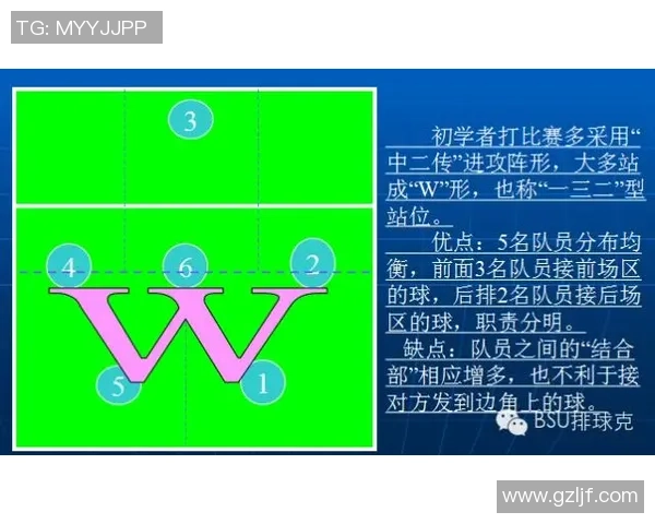 赛后分析：西安排球队与深圳排球队的战术配合与表现总结