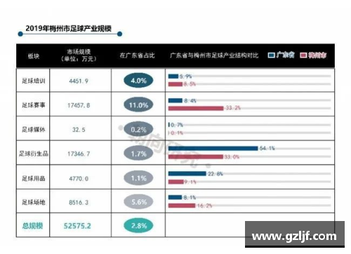 梅州足球：崛起与传承