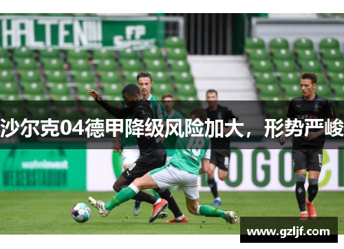 沙尔克04德甲降级风险加大，形势严峻